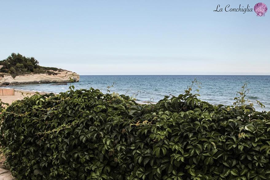 Casa La Conchiglia Sulla Spiaggia Lido di Noto Exterior photo